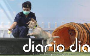 China confirma 30 casos importados de coronavirus y seis más de transmisión local en Xinjiang