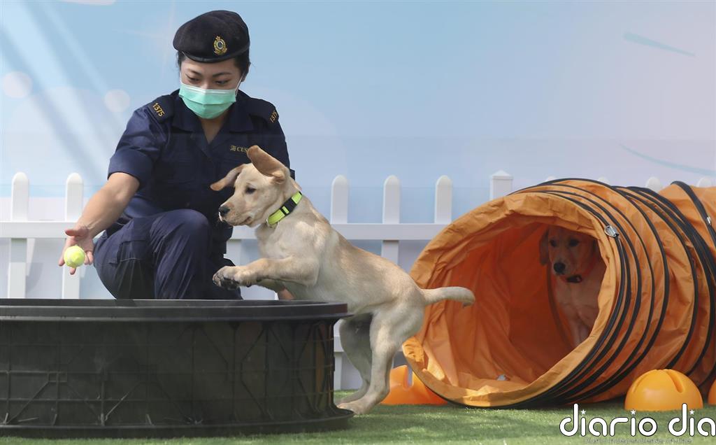 China confirma 30 casos importados de coronavirus y seis más de transmisión local en Xinjiang