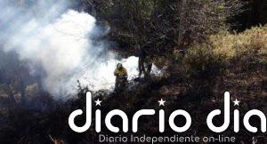 Cinco incendios forestales provocados en las últimas horas en Cantabria y tres permanecen activos
