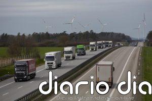 Cinco migrantes afganos logran entrar en Alemania ocultos entre los troncos de árboles que llevaba un camión