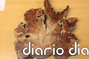 Clima irreversible más cálido y seco en el interior de Asia oriental