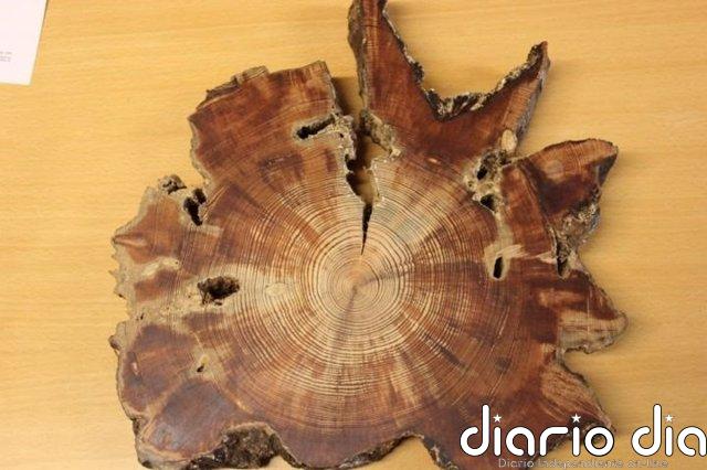 Clima irreversible más cálido y seco en el interior de Asia oriental