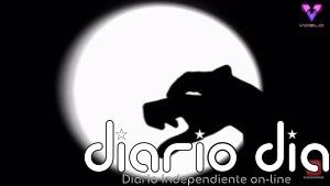 Conoce a Drew Colby, el artista que transforma sus manos en elefantes, jaguares y ratones