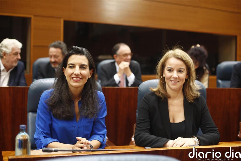 Constituida la comisión de estudio para abordar el reto demográfico y la despoblación con Vox como presidente