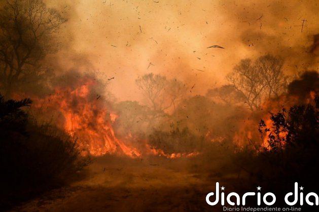 Crece la cortina de humo por la covid-19 en América Latina