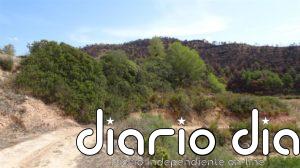 Acaban los trabajos forestales en los bosques incendiados en la Ribera d'Ebre (Tarragona) en 2019