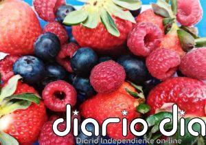 Alantra invierte en el productor de frutos rojos onubense Surexport