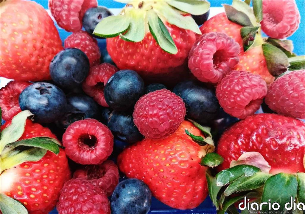 Alantra invierte en el productor de frutos rojos onubense Surexport