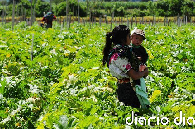 América Latina sufre su mayor caída en 120 años