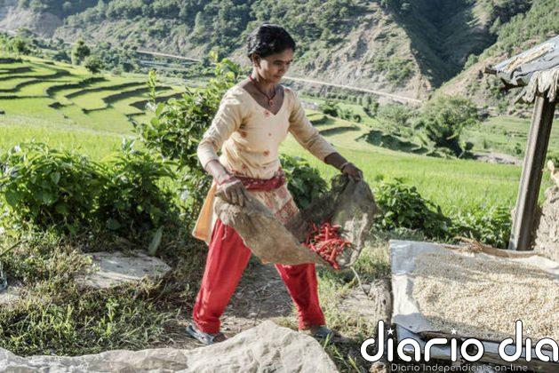 Aumenta el hambre entre los habitantes de las montañas