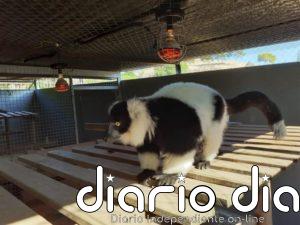 Calefacción y dietas calóricas durante el invierno para los animales de Terra Natura