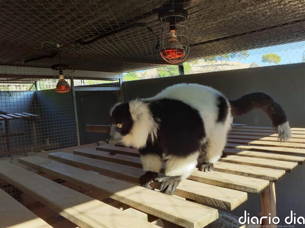 Calefacción y dietas calóricas durante el invierno para los animales de Terra Natura