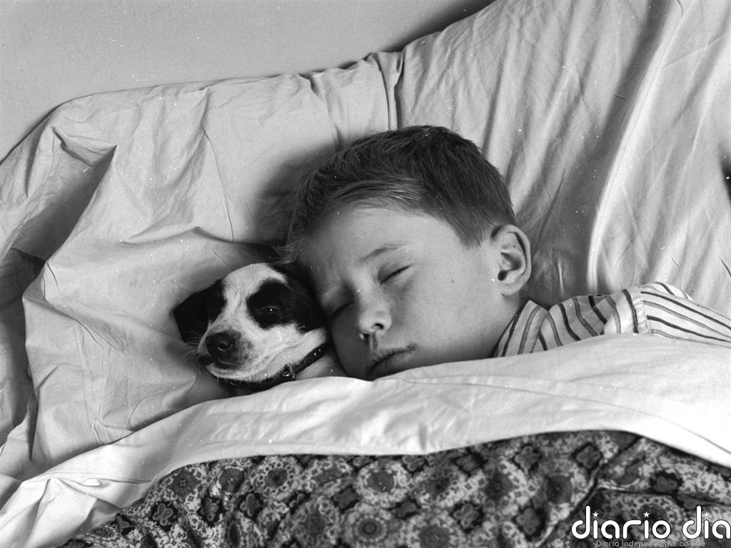 Causas del ronquido infantil, ¿debe preocuparnos?