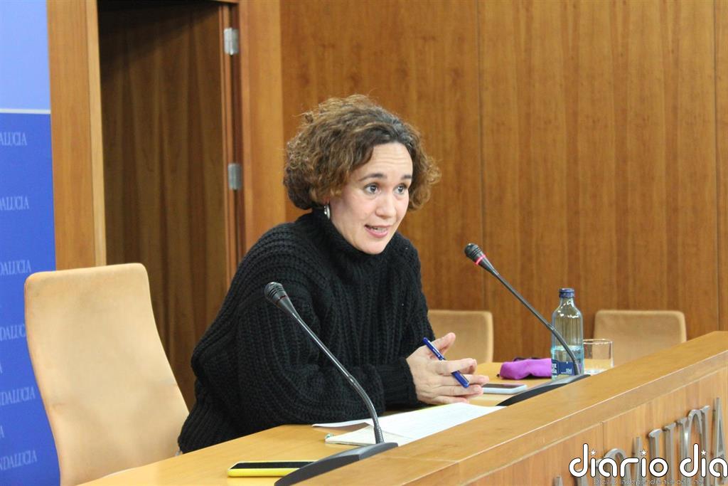 Adelante Andalucía presentará una PNL para bajar las ratios a 20 alumnos en Primaria y ESO, y 25 en Bachiller y FP