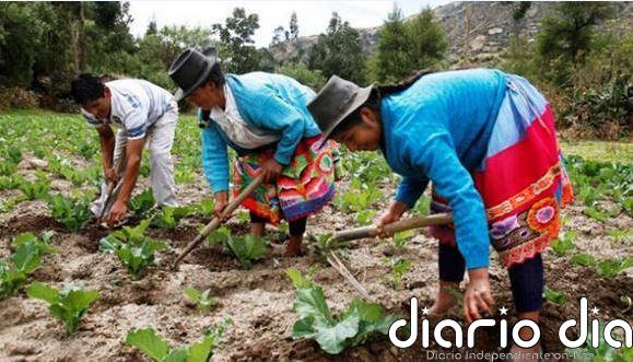 América Latina revalida agenda de desarrollo social inclusivo