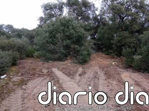 'Amigos de la Tierra' alerta de nuevos vertidos en el encinar de Pradolagar en Logroño