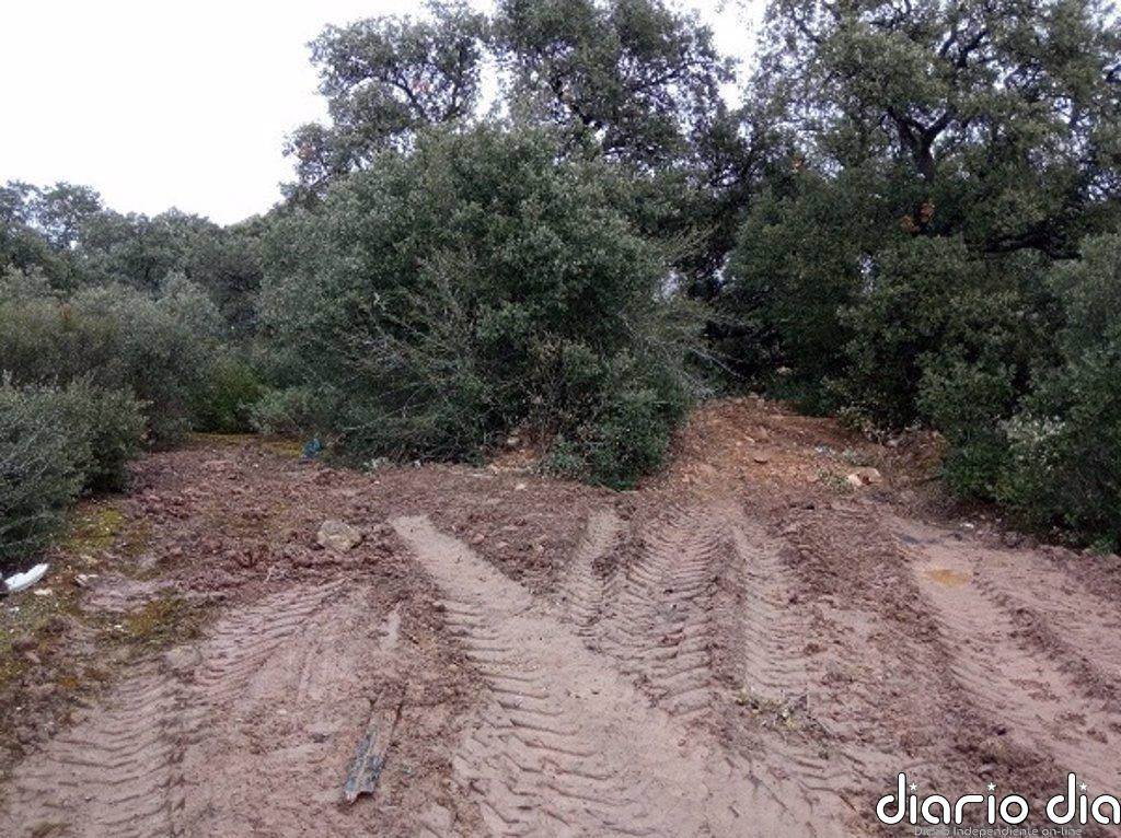 'Amigos de la Tierra' alerta de nuevos vertidos en el encinar de Pradolagar en Logroño
