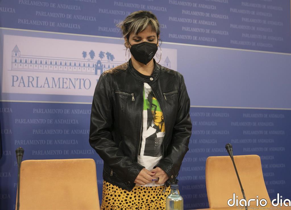 Andalucía No Se Rinde celebra su primera asamblea en la Bahía de Cádiz para "una alternativa de izquierdas coherente"