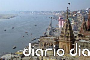 Anillos de árboles revelan 800 años de patrón climático en ríos de Asia