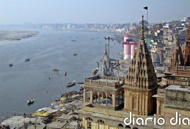 Anillos de árboles revelan 800 años de patrón climático en ríos de Asia