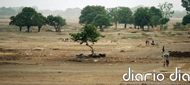 Banco Mundial financia recuperación verde en el Sahel