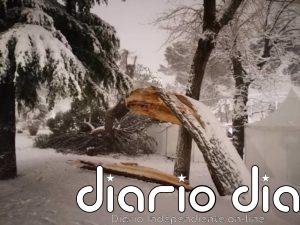 C-LM estará este domingo en alerta naranja por temperaturas bajo cero