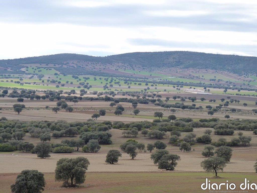 Carpetazo casi definitivo al proyecto de tierras raras Campo de Montiel tras desestimarse recurso de la empresa