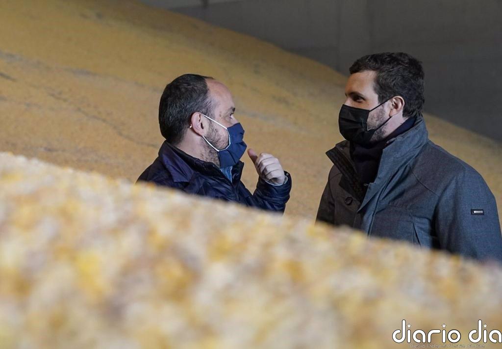 Casado denuncia que Sánchez e Illa estén de campaña, "negando la evidencia" y sin poner medidas contra el Covid-19
