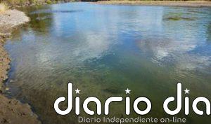 Cómo pequeñas plantas cambiaron la Tierra hace 488 millones de años