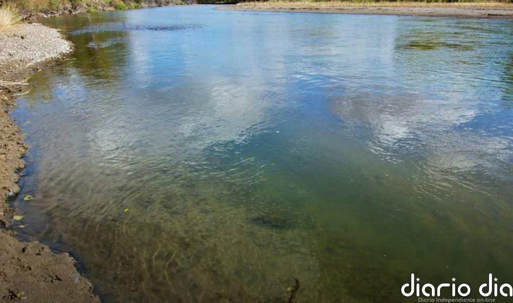 Cómo pequeñas plantas cambiaron la Tierra hace 488 millones de años
