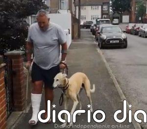 Conoce a Bill, un perro empático al que tardaron en descubrir que no era cojo, sino que imitaba la cojera de su dueño