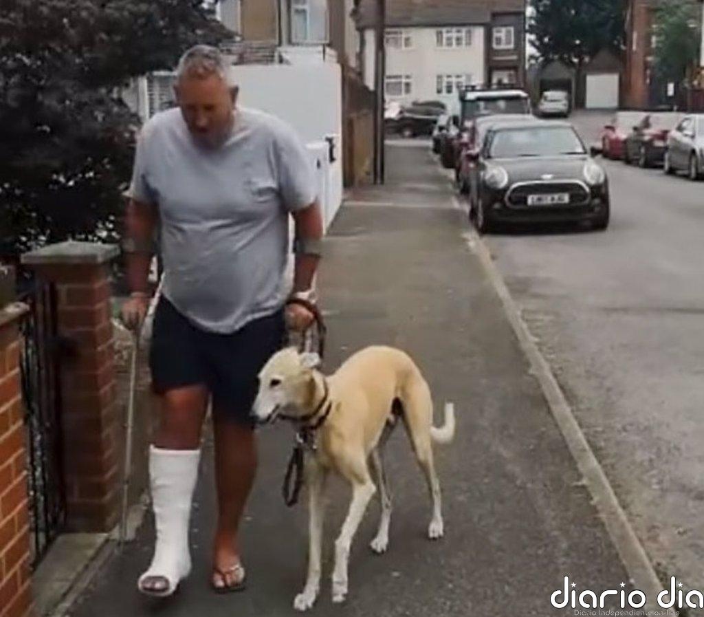 Conoce a Bill, un perro empático al que tardaron en descubrir que no era cojo, sino que imitaba la cojera de su dueño