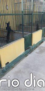 Cort asegura que 2020 ha sido un año de "importantes mejoras" en Son Reus