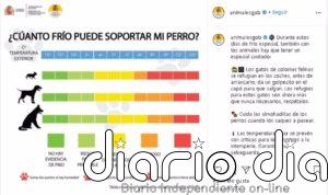 ¿Cuánto frío puede aguantar un perro? Esta tabla puede servir de guía orientativa