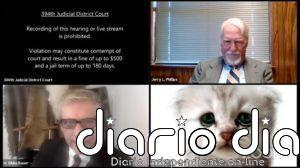 Cómo poner y quitar los filtros de Zoom (y ser un gato solo cuando se quiera)