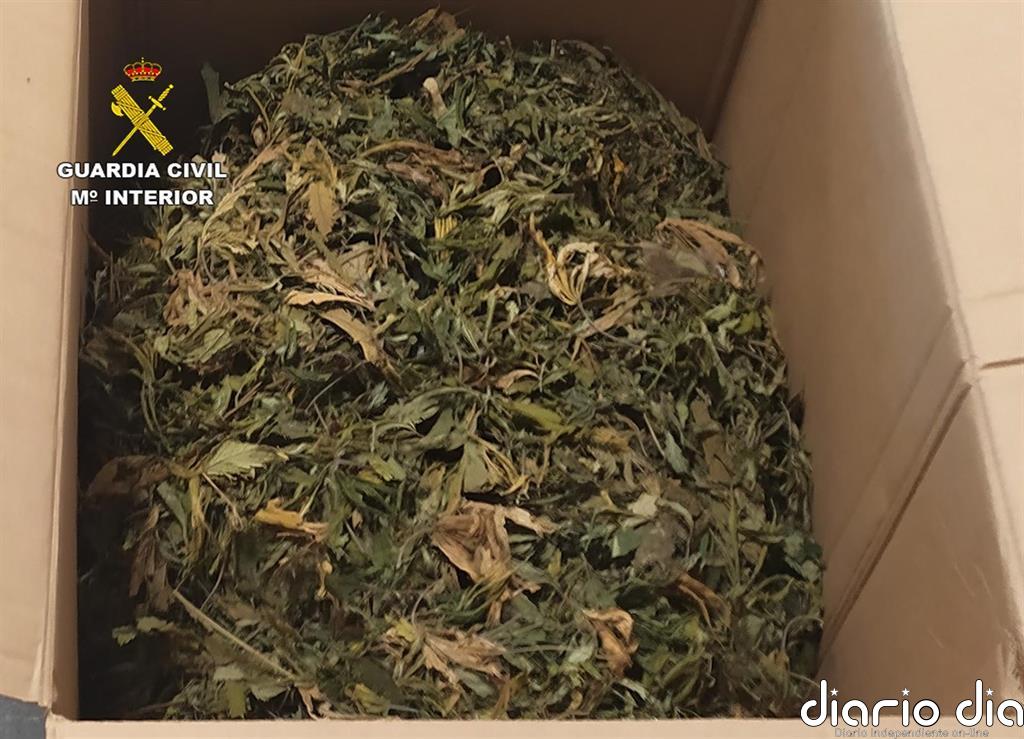 Desarticulada una mafia china dedicada al tráfico de drogas y blanqueo de capitales a través de empresas de paquetería