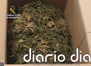 Desarticulan una mafia china que traficaba con drogas y blanqueaba capitales mediante empresas de paquetería