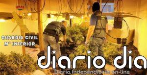 Diez detenidos en la provincia de Granada por cultivo 'indoor' de marihuana tras varios registros domiciliarios