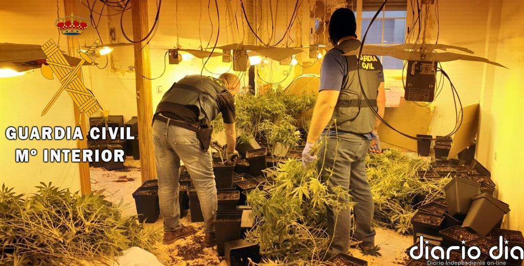 Diez detenidos en la provincia de Granada por cultivo 'indoor' de marihuana tras varios registros domiciliarios