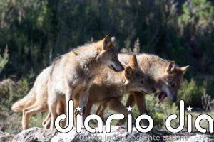 El Gobierno vuelve a convocar mañana a las CC