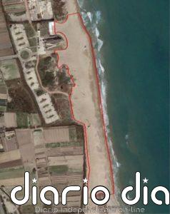 El Puerto de València restaurará el sistema dunar de la playa de La Creu de El Saler