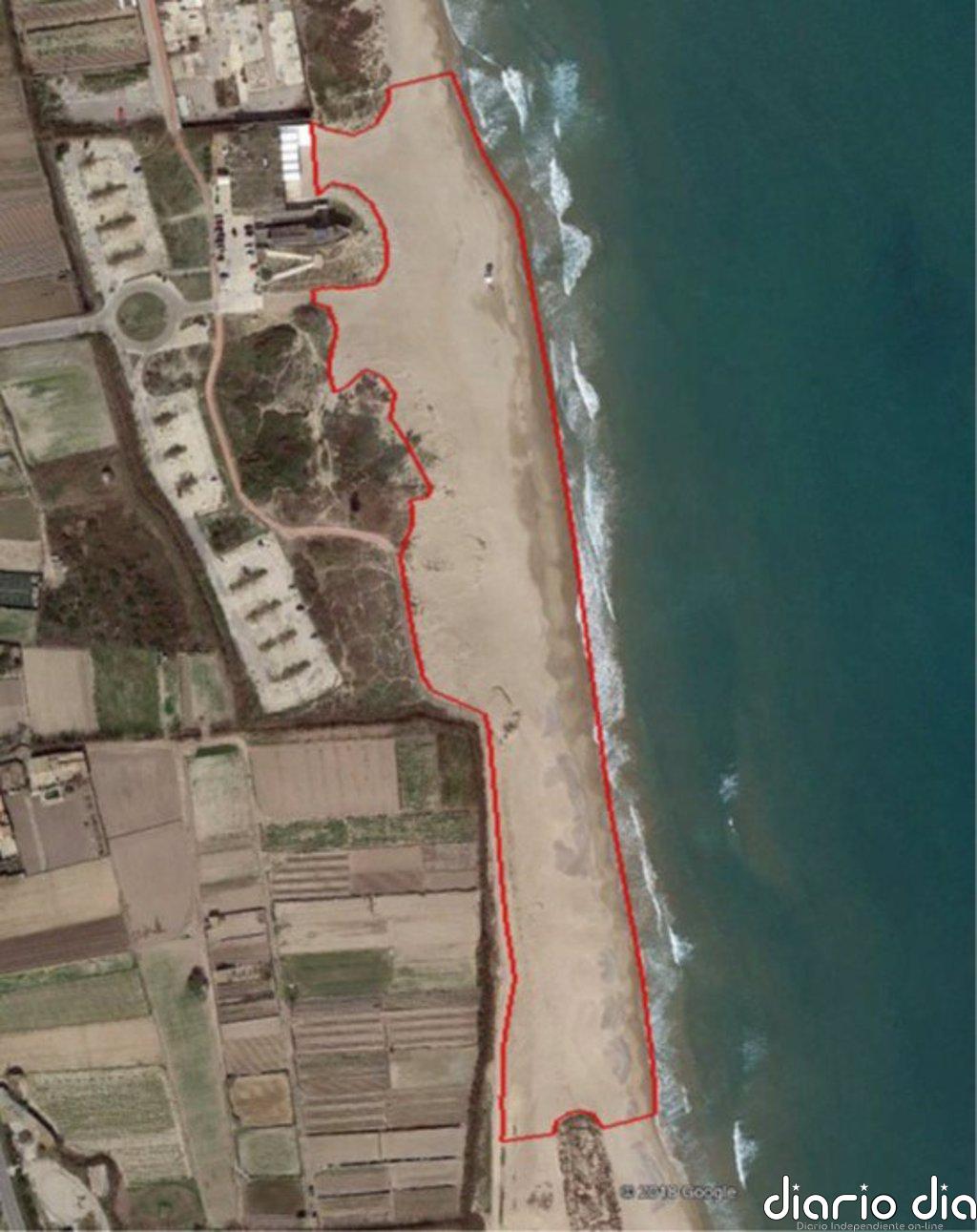 El Puerto de València restaurará el sistema dunar de la playa de La Creu de El Saler