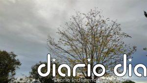 El tiempo en Extremadura para hoy jueves, 11 de febrero de 2021