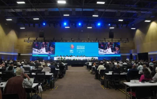 Ante la recta final de la COP16: ¿en qué se ha avanzado?