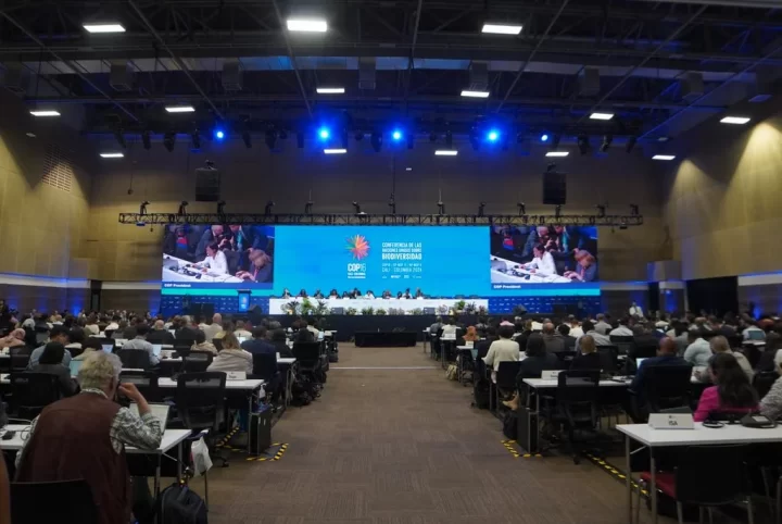 Ante la recta final de la COP16: ¿en qué se ha avanzado?