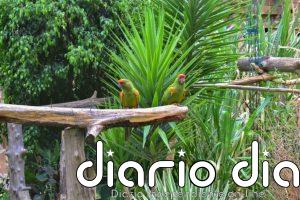 Bolivia ante la COP16: ¿cuáles son las promesas ambientales en juego?