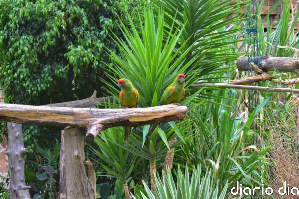 Bolivia ante la COP16: ¿cuáles son las promesas ambientales en juego?