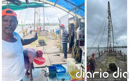 Con el cambio climático y la apatía del gobierno, ¿a quién deberían recurrir los pescadores del sur de India?