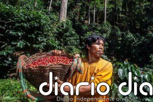 COP16: Guía para entender el mecanismo que confronta a países ricos con los megadiversos