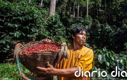 COP16: Guía para entender el mecanismo que confronta a países ricos con los megadiversos